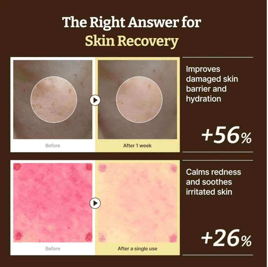 Dr. Reju-All Advanced PDRN Rejuvenating Cream – 99% Pure Salmon DNA PDRN Face Moisturizer – Optimal 1200ppm Concentration for Visible Results – Korean Anti-Aging Skin Care Face Cream