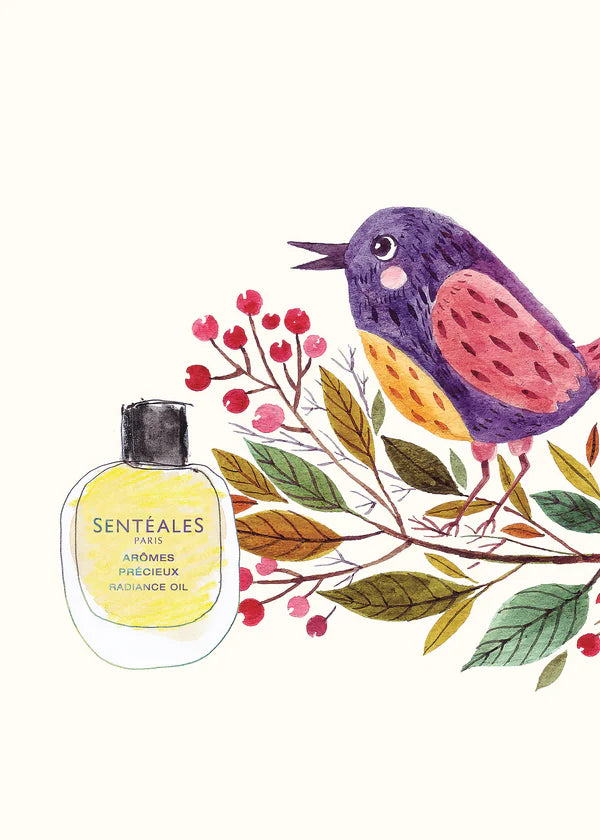 SENTEALES Radiance Oil, 15ml